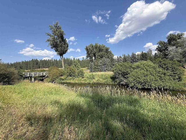 2406 E Colbert Rd, Colbert, WA 99005 - photo 21