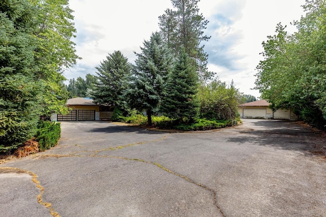 2406 E Colbert Rd, Colbert, WA 99005 - photo 28