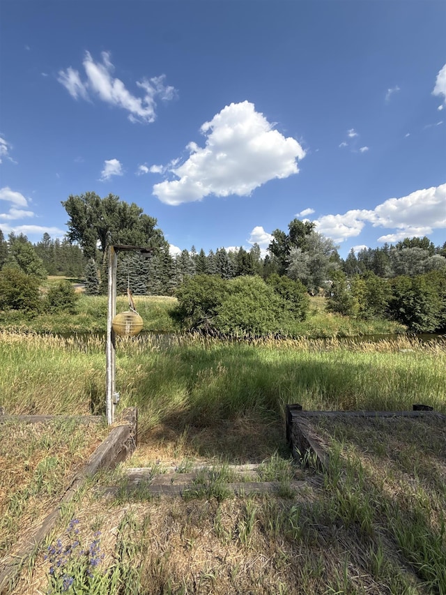 2406 E Colbert Rd, Colbert, WA 99005 - photo 29
