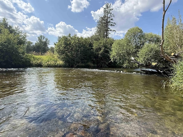 2406 E Colbert Rd, Colbert, WA 99005 - photo 30