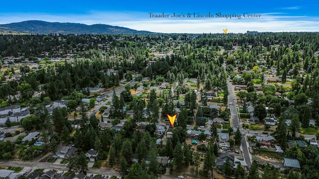 3123 E 11th Ave, Spokane, WA 99202 - photo 41