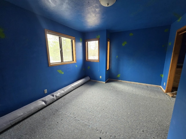 4221 E Bailey Rd, Chattaroy, WA 99003 - photo 23