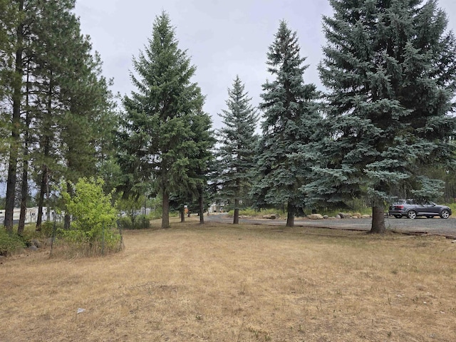 4221 E Bailey Rd, Chattaroy, WA 99003 - photo 42
