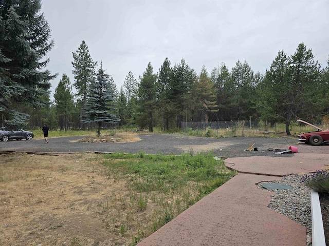 4221 E Bailey Rd, Chattaroy, WA 99003 - photo 43