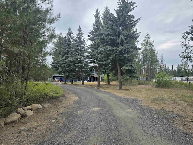 4221 E Bailey Rd, Chattaroy, WA 99003 - photo 44