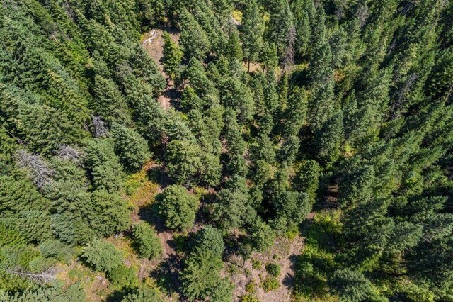 NKN Pauls Ln, Newport, WA 99156 - photo 17