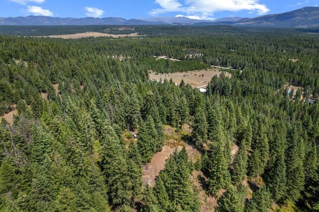 NKN Pauls Ln, Newport, WA 99156 - photo 18