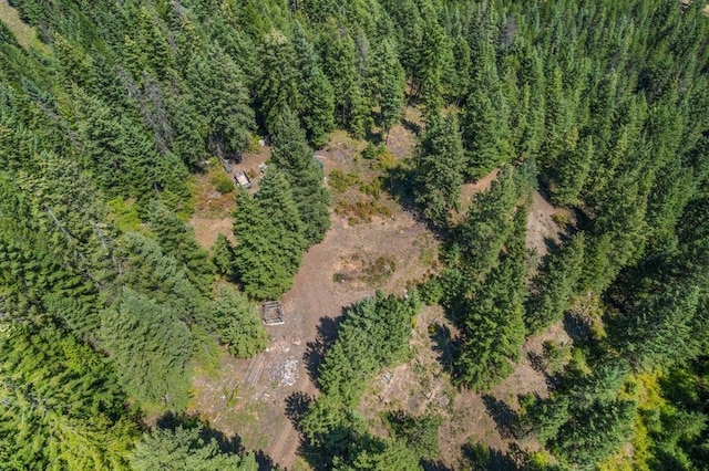 NKN Pauls Ln, Newport, WA 99156 - photo 20