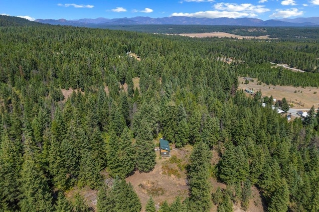 NKN Pauls Ln, Newport, WA 99156 - photo 21