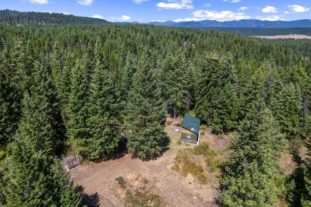 NKN Pauls Ln, Newport, WA 99156 - photo 27