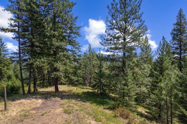 NKN Pauls Ln, Newport, WA 99156 - photo 28