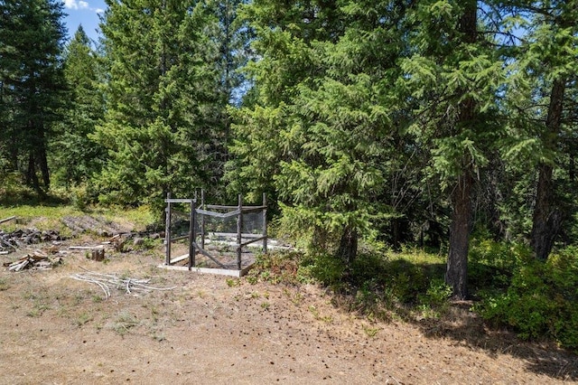 NKN Pauls Ln, Newport, WA 99156 - photo 29