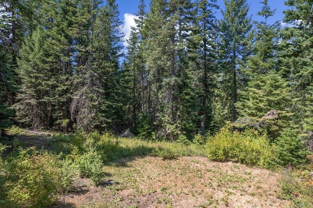 NKN Pauls Ln, Newport, WA 99156 - photo 30