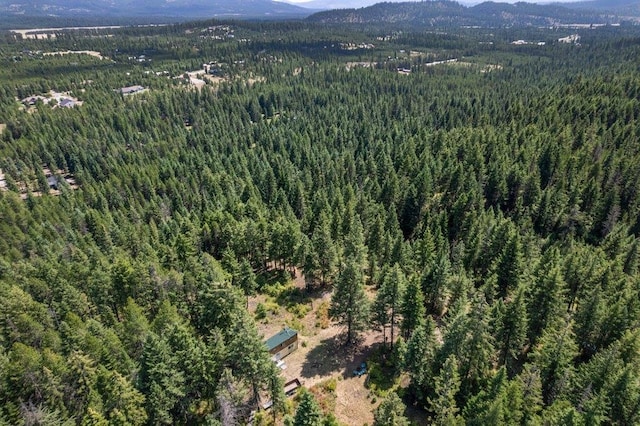 NKN Pauls Ln, Newport, WA 99156 - photo 33