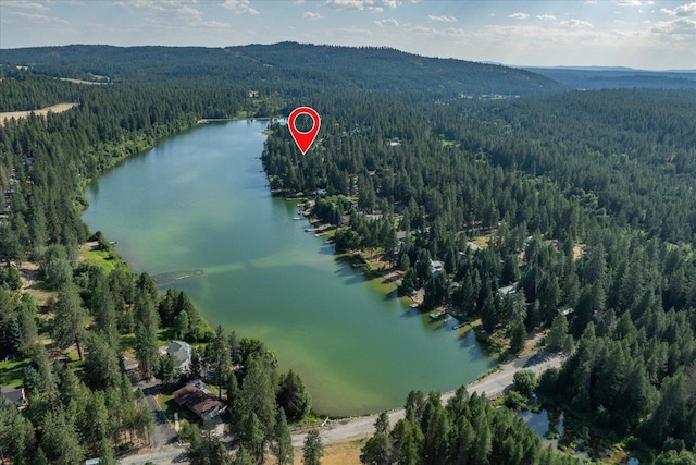 37708 N Lakeside Dr, Elk, WA 99009 - photo 48