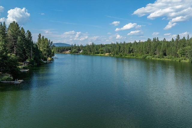 37708 N Lakeside Dr, Elk, WA 99009 - photo 50