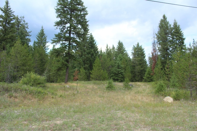 1XX Tennant Rd, Newport, WA 99156 - photo 12