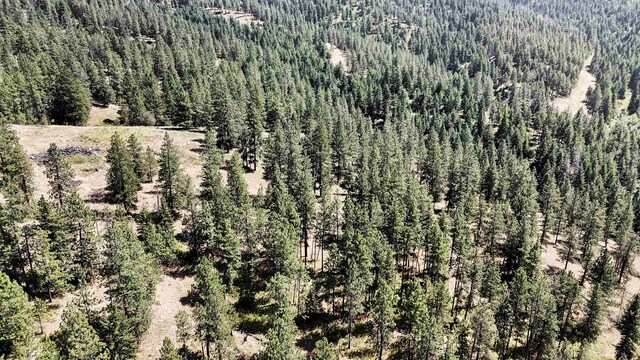 5336 S Morrow Park Rd, Spokane, WA 99206 - photo 11