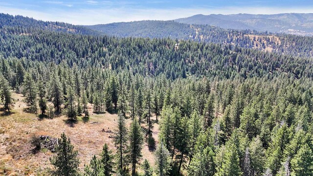 5336 S Morrow Park Rd, Spokane, WA 99206 - photo 12