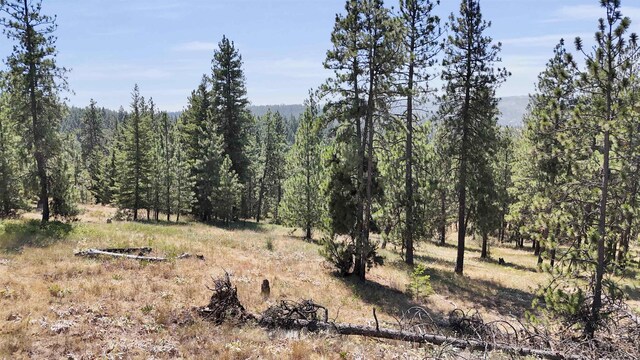 5336 S Morrow Park Rd, Spokane, WA 99206 - photo 13