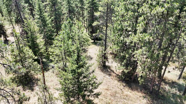 5336 S Morrow Park Rd, Spokane, WA 99206 - photo 14
