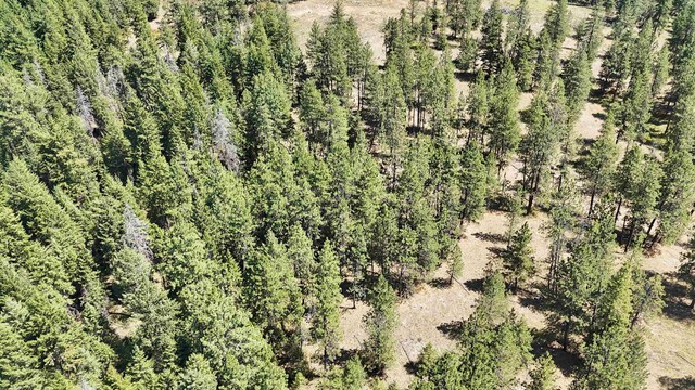 5336 S Morrow Park Rd, Spokane, WA 99206 - photo 16