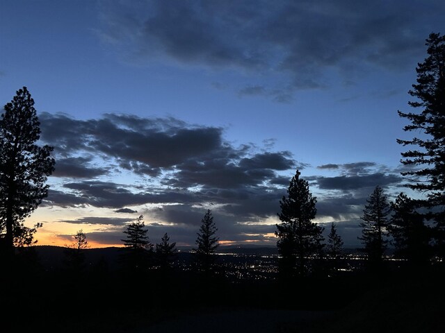 5336 S Morrow Park Rd, Spokane, WA 99206 - photo 18