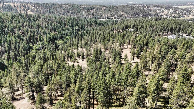 5336 S Morrow Park Rd, Spokane, WA 99206 - photo 9