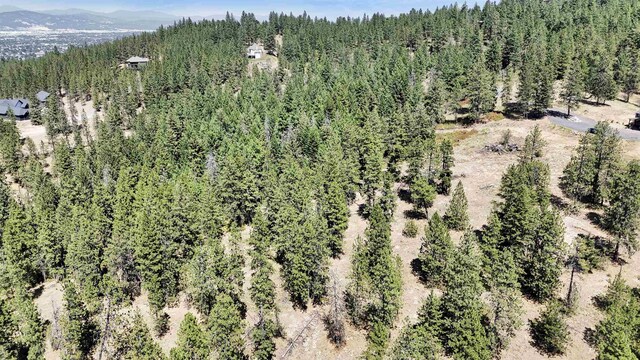 5336 S Morrow Park Rd, Spokane, WA 99206 - photo 10