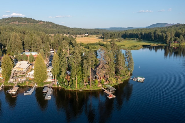 143 Viewpoint Rd, Newport, WA 99156 - photo 9