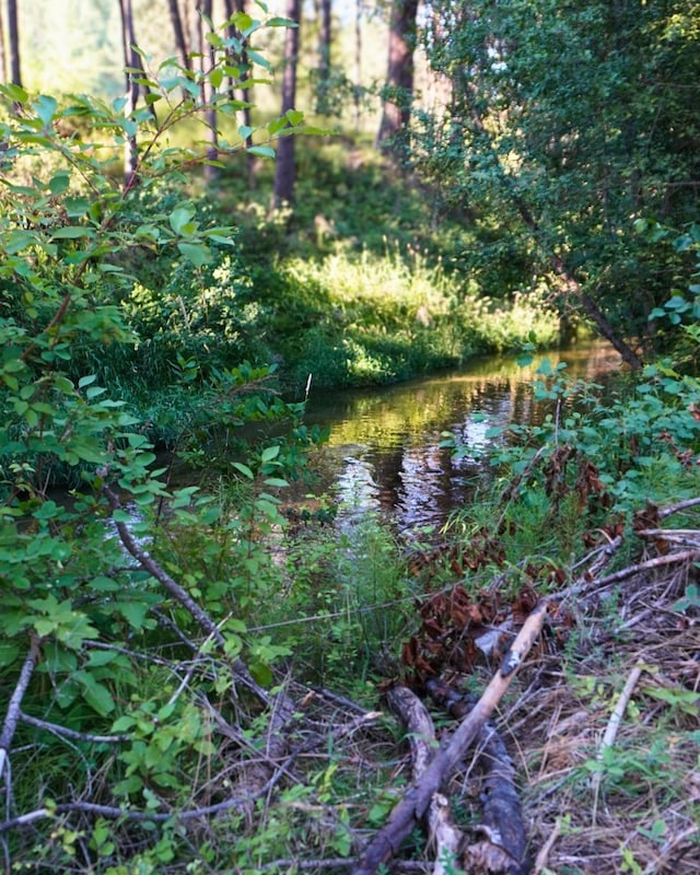 241 Pines Rd, Newport, WA 99156 - photo 2