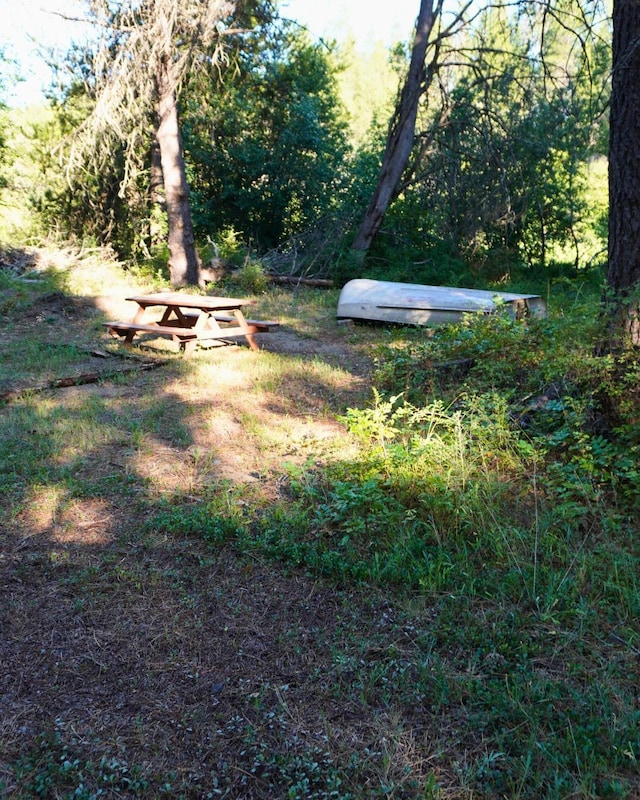 241 Pines Rd, Newport, WA 99156 - photo 4