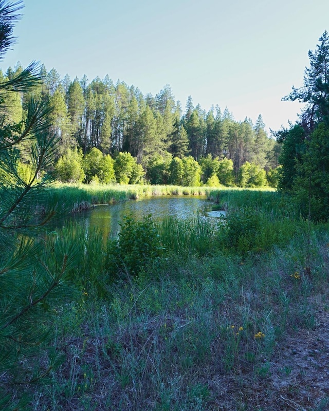 241 Pines Rd, Newport, WA 99156 - photo 5