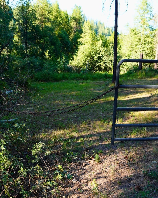 241 Pines Rd, Newport, WA 99156 - photo 6