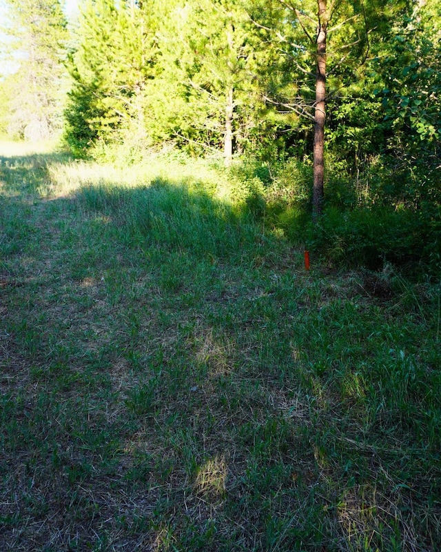 241 Pines Rd, Newport, WA 99156 - photo 7