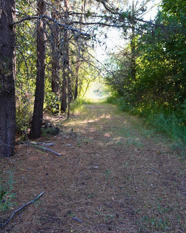 241 Pines Rd, Newport, WA 99156 - photo 8