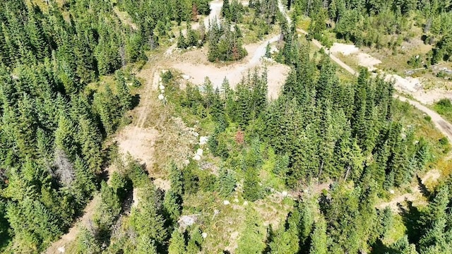 10XX Buck Creek Rd, Newport, WA 99156 - photo 20