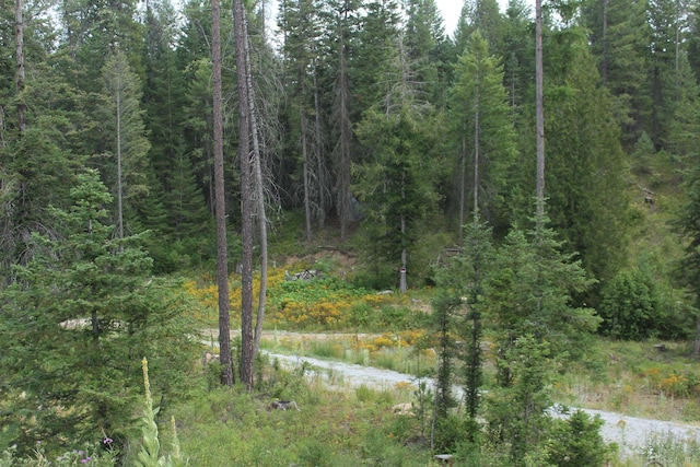 10XX Buck Creek Rd, Newport, WA 99156 - photo 3