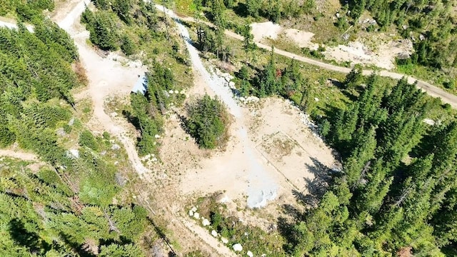 10XX Buck Creek Rd, Newport, WA 99156 - photo 21