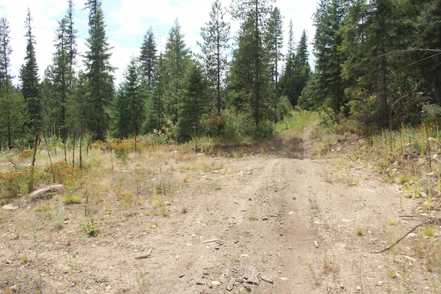 10XX Buck Creek Rd, Newport, WA 99156 - photo 7