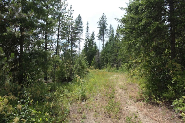 10XX Buck Creek Rd, Newport, WA 99156 - photo 8