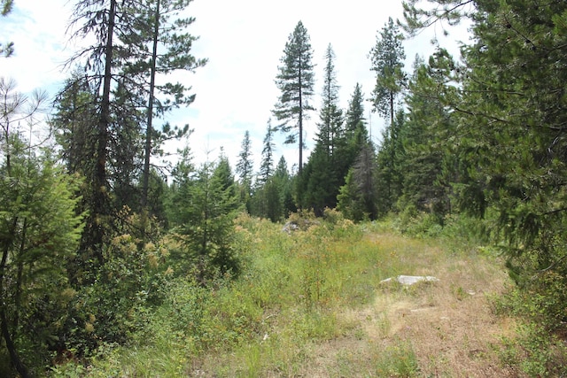 10XX Buck Creek Rd, Newport, WA 99156 - photo 9