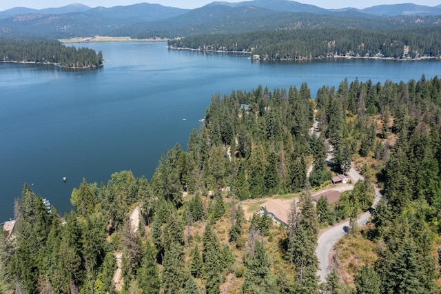 12015 N Sutton Bay Rd, Newman Lake, WA 99025 - photo 25