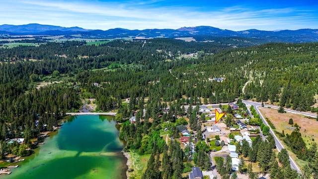 38116 N Sheets Rd, Elk, WA 99009 - photo 37