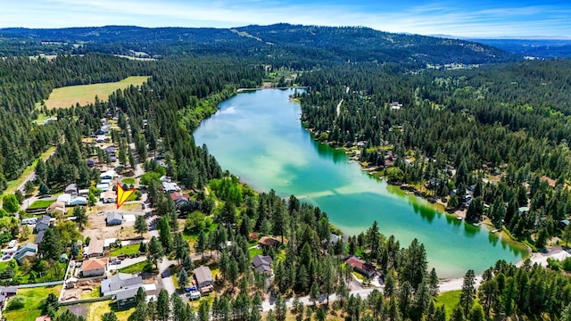 38116 N Sheets Rd, Elk, WA 99009 - photo 39