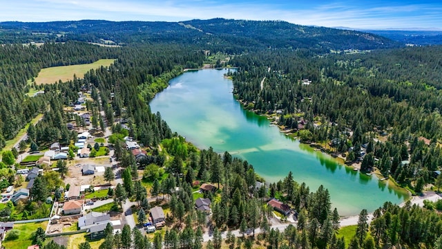 38116 N Sheets Rd, Elk, WA 99009 - photo 41