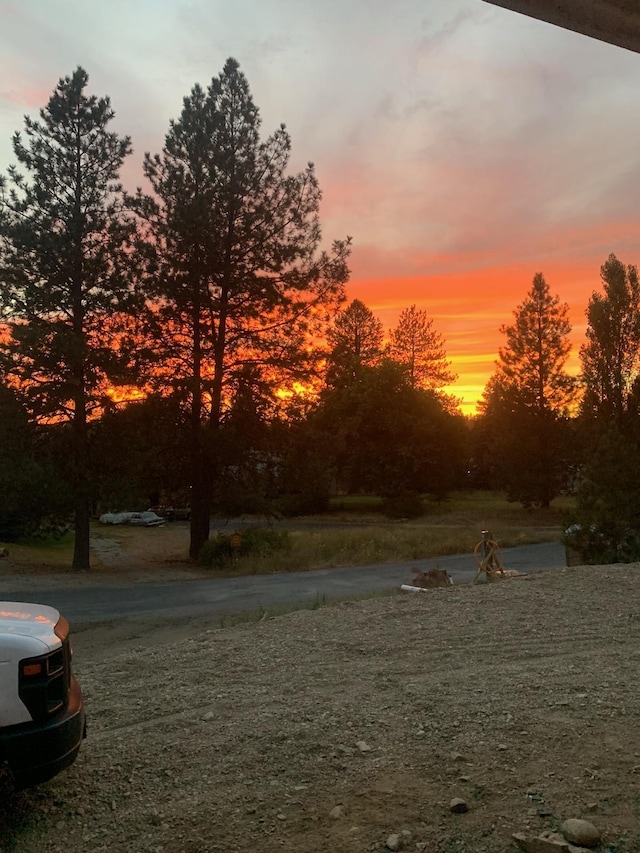 38116 N Sheets Rd, Elk, WA 99009 - photo 44