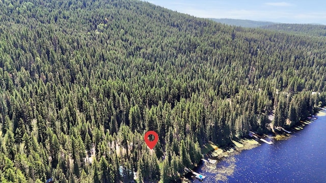 2862 Heritage Lake Way, Colville, WA 99114 - photo 27