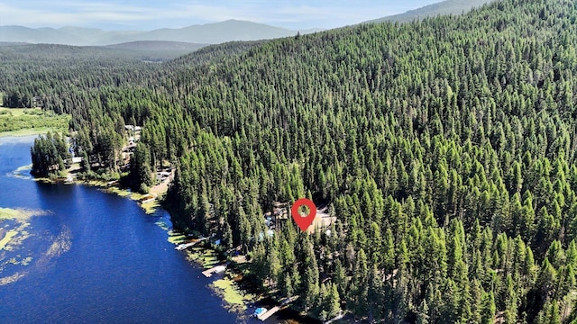 2862 Heritage Lake Way, Colville, WA 99114 - photo 28