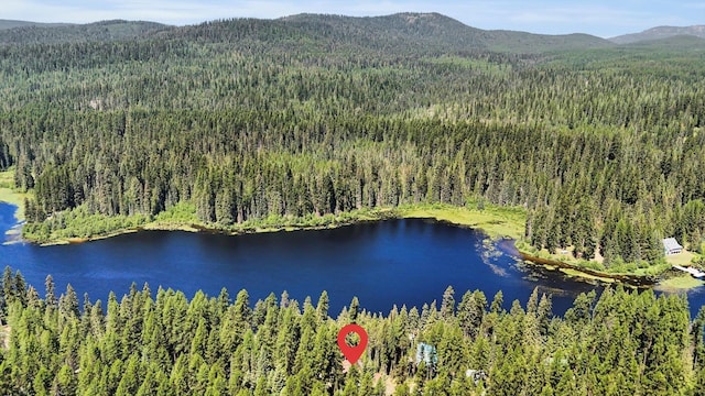 2862 Heritage Lake Way, Colville, WA 99114 - photo 29